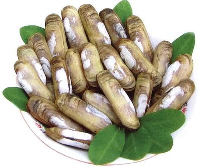 鲜活海蛏子 蛏子 新鲜蛏子 野生双头蛏 10元/250g