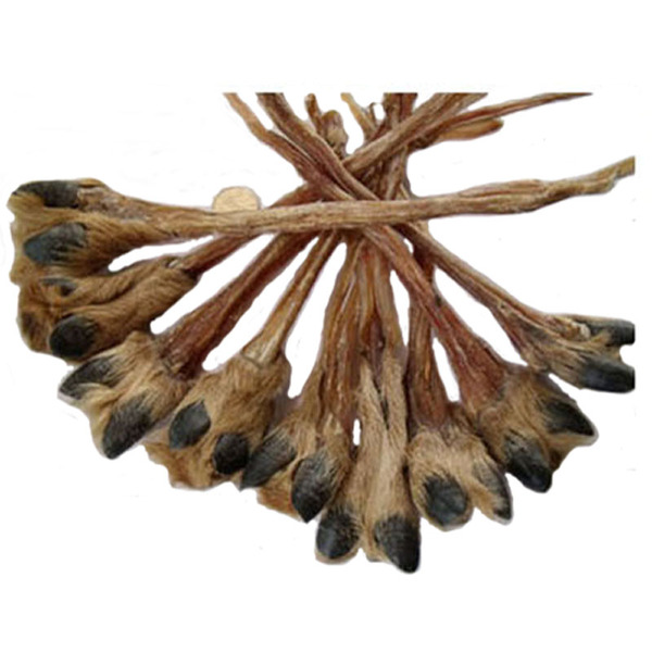 东北特产梅花鹿带毛鹿筋鹿脚筋 鹿茸 48元 一只80g左右