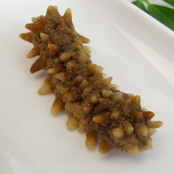 黄金刺参黄玉参小刺黄玉进口野生淡干海参水产干货礼盒批发500g