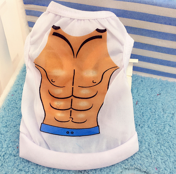 全国包邮宠物狗狗猫咪衣服泰迪比熊小中型犬猫咪春夏背心比基尼