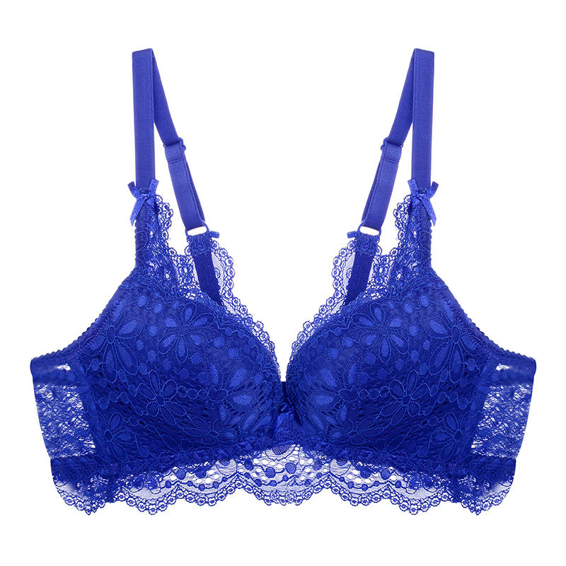 伊丝艾拉秋冬新品时尚美背性感文胸无钢圈聚拢蕾丝女式内衣18356