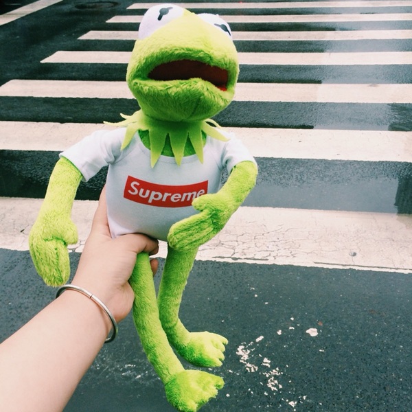 包邮supreme青蛙公仔芝麻街科密特青蛙kermit 科米蛙吴亦凡同款