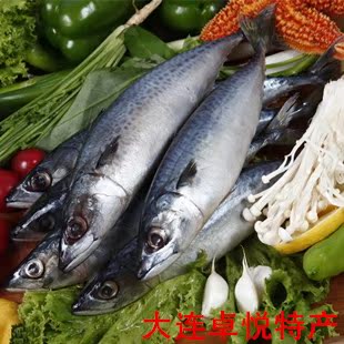 大连海鲜新鲜大鮁鱼燕鮁马鲛鱼1.5-2斤多/条包饺子做鱼丸鲜美可口