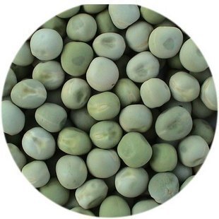 【豌豆芽苗菜】豌豆种子 豌豆芽苗菜种子 芽苗菜种子100g