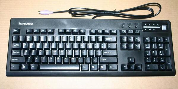 旭丽lxb-sk9271 群光lxb-ch0507 (park)ps/2键盘(r)25005994