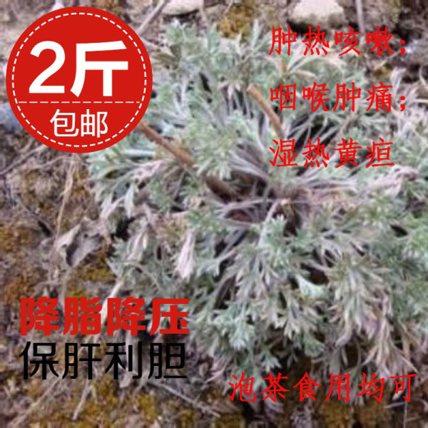 2斤包郵 山區野生茵陳全草 中藥材 棉綿茵陳草 白蒿250克