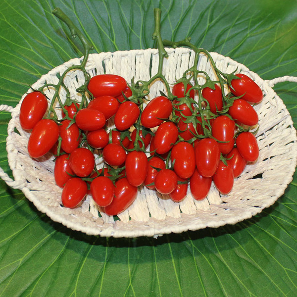 批发仿真小水果串蔬菜圣女果小西红柿小番茄家居水果装饰假水果