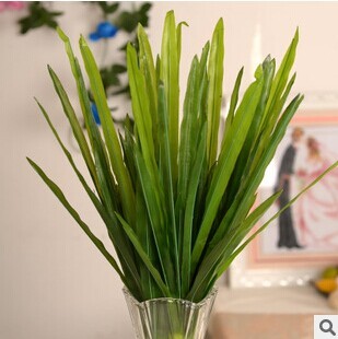 兰花叶子仿真过胶剑叶 插花造型叶子 假剑兰 蜡烛叶芦苇叶8片叶子-淘