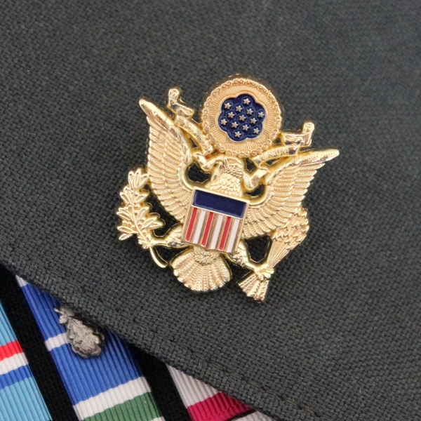 美国陆军帽徽 帽徽 纪念章 肩章金属徽章 美国国徽 usarmy 胸章-淘宝