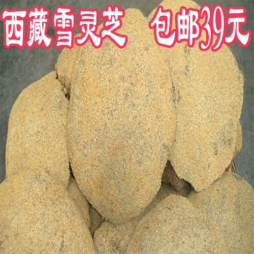 2015新货西藏野生藏雪灵芝正品 雪林芝中药材滋补养生 500克包邮