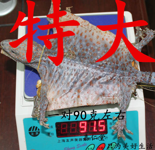 蛤蚧干蛤蚧粉泡酒蛤蚧25一对宽16cm长26-32cm重90克尾巴完整