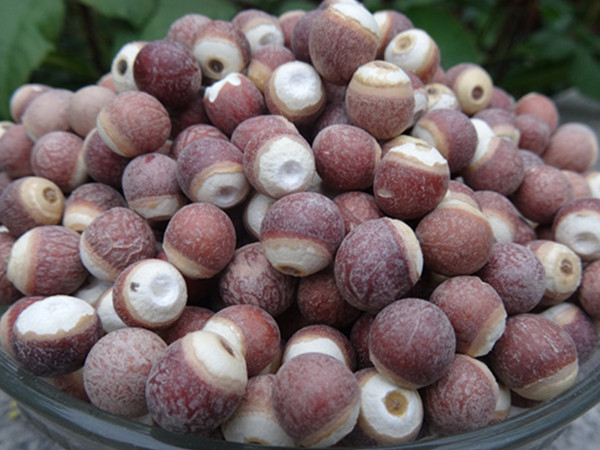 限时抢购肇庆特产红皮圆粒芡实仁茨实新鲜大颗干货芡实鸡头米500g