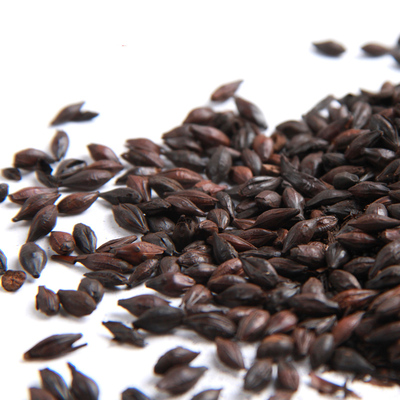 任选6种免邮 焦麦芽 炒熟麦芽 焦三仙之一250克