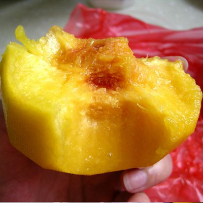 2016预 售桃子 姚庄锦绣黄桃新鲜水果 10斤礼盒装 顺丰包邮