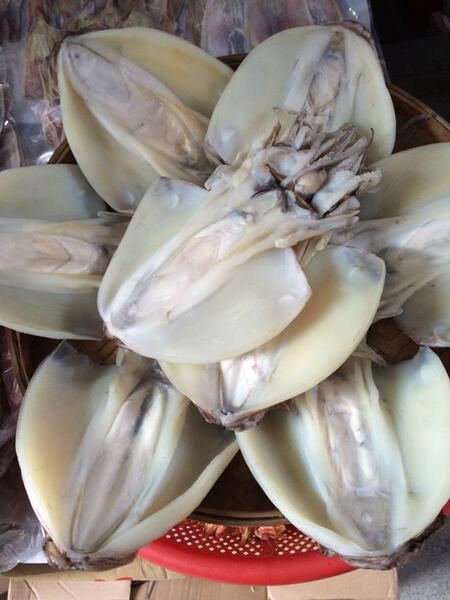 琴姐海味 甲子特产 半干湿墨斗 甲子墨斗鱼干货海产制品年货必备