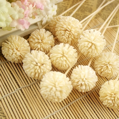 印尼藤条通草干花无火香薰精油补充液挥发香熏配件雪松球