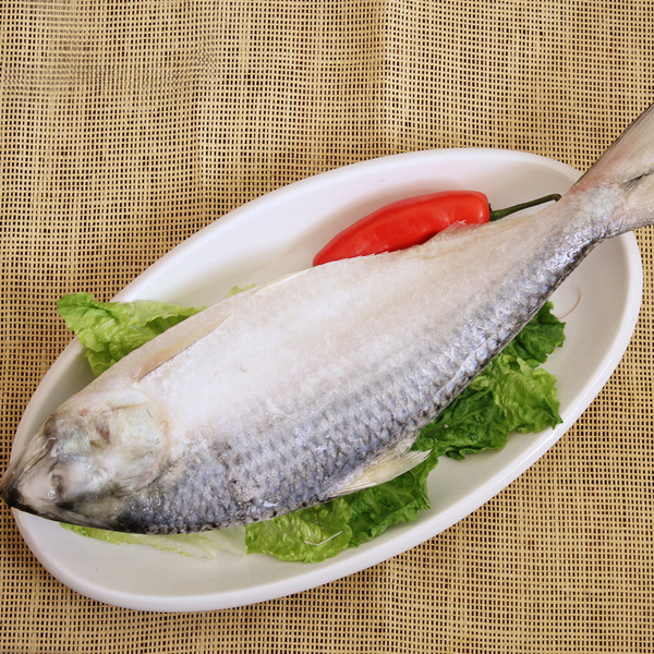 正宗本地鲥鱼长江三鲜长江鲜水产 量大从优120元/条 同城配送