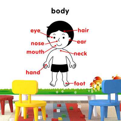 早教中心墙贴儿童字母卡通贴英文贴纸身体body器官英语学习单词贴