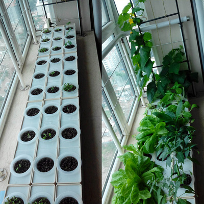 阳台种菜水培设备 飘窗上的空中菜园 自动化无土栽培 让养花种菜变得简单无土栽培种植箱自己种菜其乐无穷
