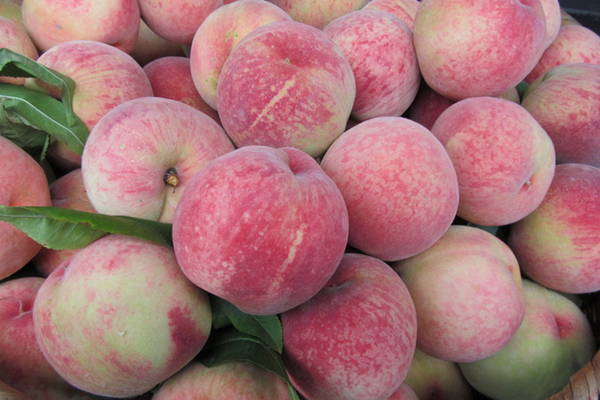 山西运城新鲜水果桃子毛桃超越桃超红个大脆甜5斤包邮