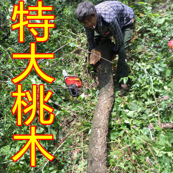 野生桃木枝桃木剑桃木段桃木料镇宅辟邪驱邪平安桃木板桃木块桃木