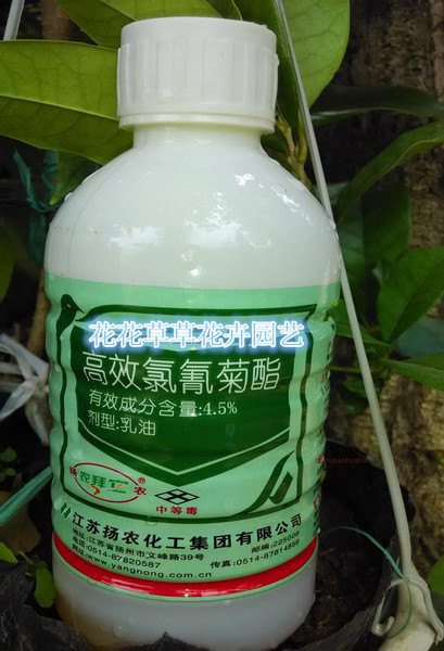 特效农药杀虫剂氯氰菊脂 氧化乐果 果树花卉杀蔬菜青虫杀各种害虫