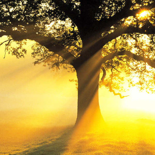 图库素材自然风光清晨和黄昏日升日落夕阳晚霞光傍晚美景高清图片