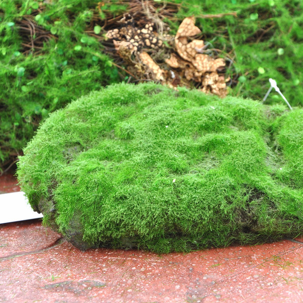 大号长形青苔石 仿真苔藓 植毛石头青苔绿石头 多肉造景摆件饰品