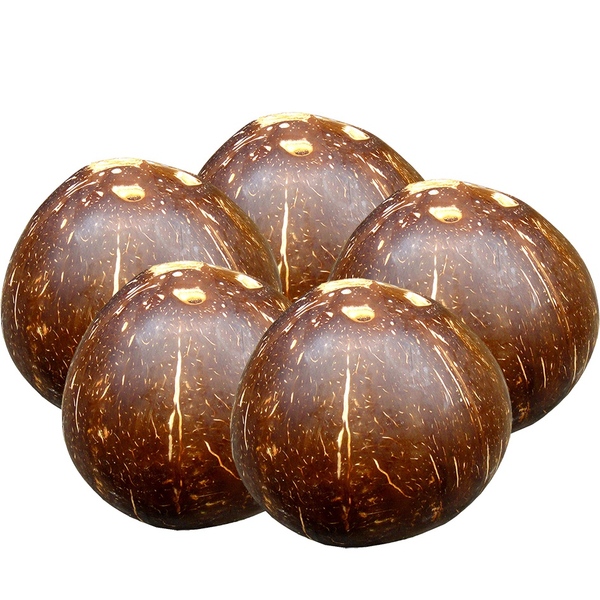 海南黑椰王5个/送椰子刨老椰王专用吃椰肉/榨椰汁/煲汤vs秦国椰青