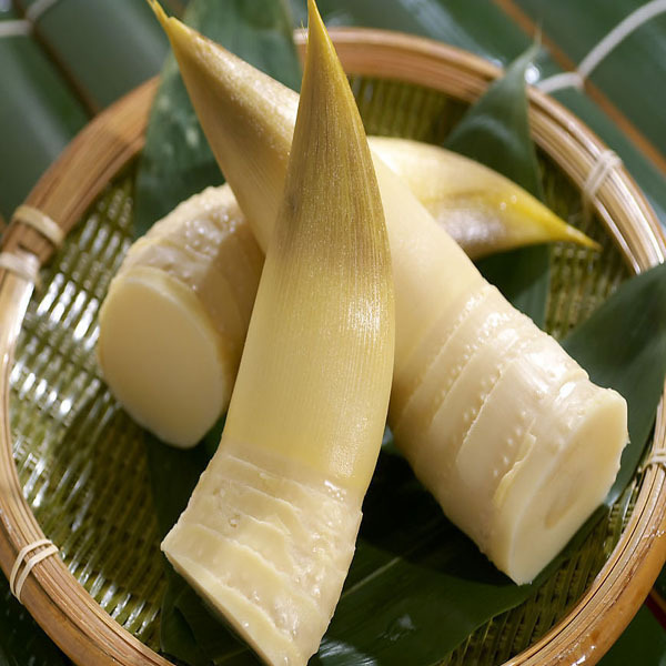 【5份包邮】云南哀牢山野生干竹笋/干笋子/金丝笋/农家货200克