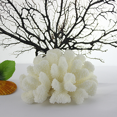 大海白珊瑚树 12-25cm白珊瑚礁 海螺贝壳 鱼缸造景 家居摆件