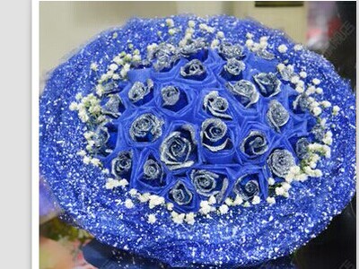 福州鲜花速递同城红蓝玫瑰33只速递福建福州市闽侯县连江县福清市