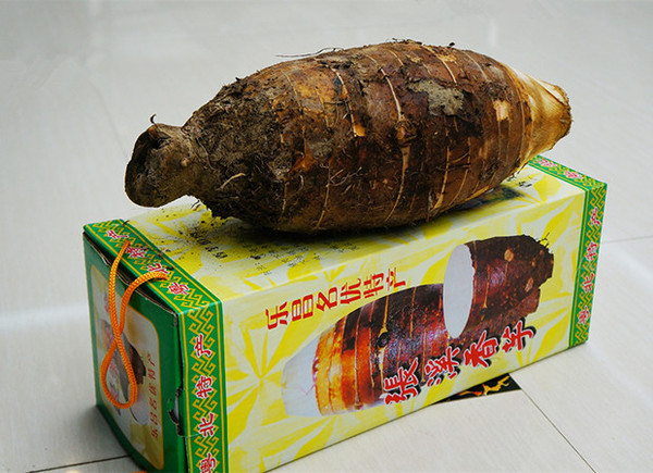 新鲜炮弹大香芋礼盒装槟榔芋头广东包邮6斤农家产品乐昌土特产