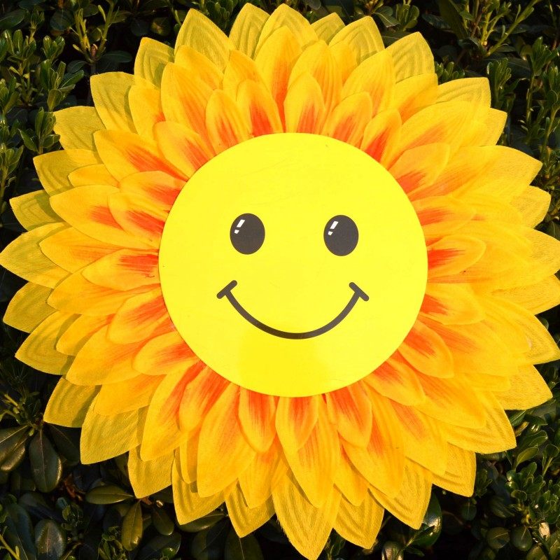 笑脸向日葵道具花卡通太阳花六一儿童节演出花舞幼儿园道具手拿花 焦