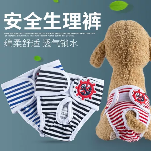 Физиологичные штаны, физиологичное нижнее белье, ремень