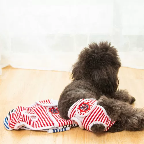 Физиологичные штаны, физиологичное нижнее белье, ремень