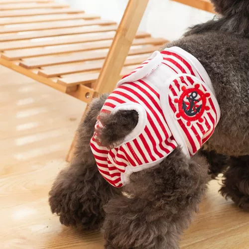 Физиологичные штаны, физиологичное нижнее белье, ремень