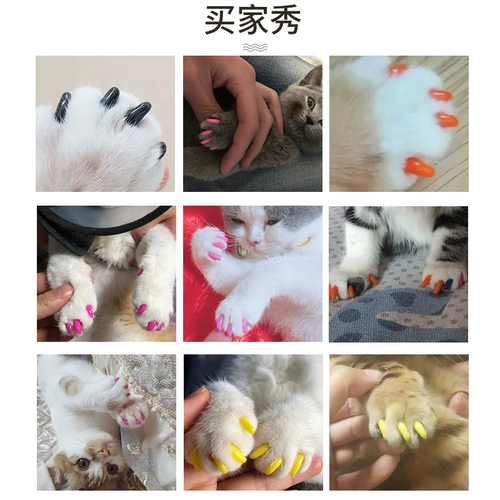 Когтя кота кошки против кошачьей кошачьи кошачьи крышки кошки котловые коткие кошачьи кошачьи царапины против царапин и стирания кошачьих перчаток