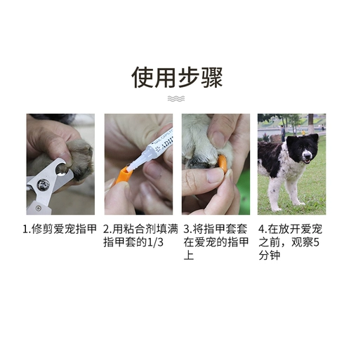 Когтя кота кошки против кошачьей кошачьи кошачьи крышки кошки котловые коткие кошачьи кошачьи царапины против царапин и стирания кошачьих перчаток