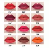 New12 цветной матовой коричневой губной лайнер waproof long