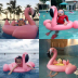 Trẻ em bé bơi vòng dễ thương flamingo dứa INS ngồi vòng bé nước bơm hơi gắn kết 0-6 tuổi - Cao su nổi phao tắm cho trẻ sơ sinh Cao su nổi