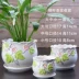 Kệ màu xanh lá cây trồng hoa bắt chước sau ngón tay cái bình chậu hoa hoa đứng chậu hoa từ gốm lưu vực cột Vase / Bồn hoa & Kệ