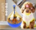Chó rò rỉ thức ăn bóng tumbler câu đố thiết bị cho ăn chậm cắn thú cưng cung cấp đồ chơi mèo Teddy kích thước con chó - Mèo / Chó Đồ chơi
