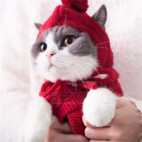 Зимняя шерстяная вязаная шапка, шарф