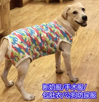 Большая собака Lala Golden Mao Dog Оберните живот, золотой reto satsuma satsuma broken broken server, защищающий одежду желудка высшим