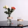 Bình hoa trang trí phòng khách cắm hoa tối giản Châu Âu trang trí sáng tạo cắm hoa bình hoa nước khô bình thủy tinh - Vase / Bồn hoa & Kệ bình cắm hoa thủy tinh