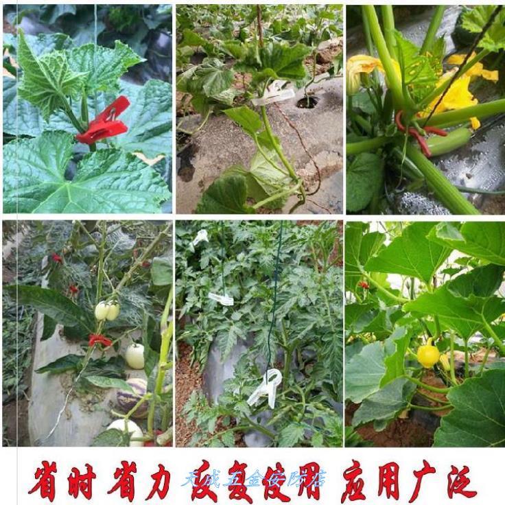 西葫芦落秧夹绑蔓夹子吊秧夹番茄落秧黄瓜特厚茄子