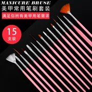 Nhật Bản vẽ cọ bút lông bút 15 bút móng tay thiết lập quang trị liệu bút sơn móng tay cọ vẽ hoa công cụ làm móng tay - Công cụ Nail