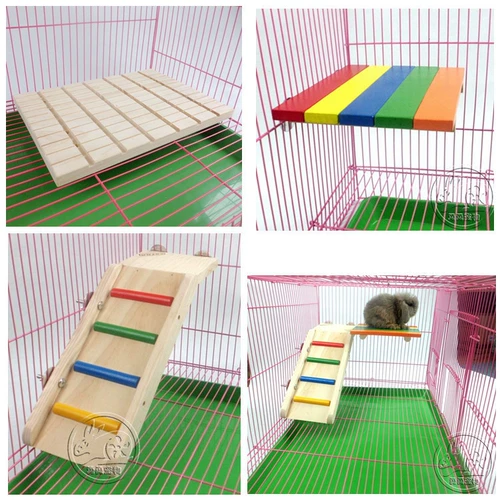 Pet Totona Squirrel Rabbit Product Product