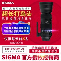 Sigma/Shima 150-600 мм F5-6.3 DG OS HSM S EDITY EVAI 1,4 раза SET C Версия